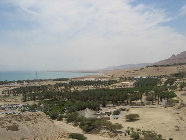 Israel-213-Oase