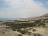 Israel-213-Oase