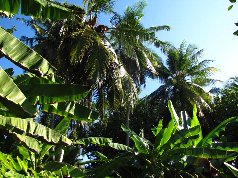 Malediven-Fihalhohi-0044