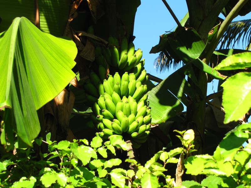 Malediven-Fihalhohi-0045