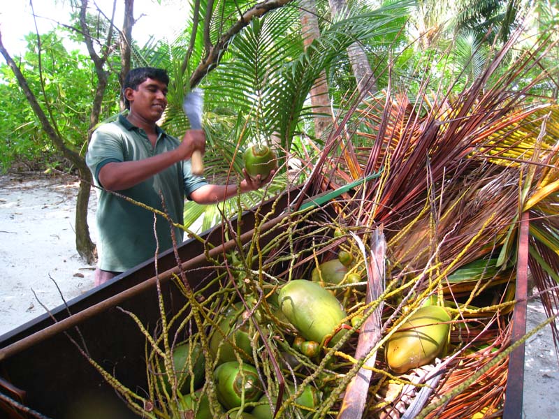 Malediven-Fihalhohi-0067