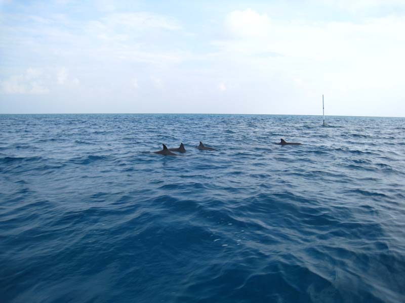 Malediven-Fihalhohi-0396