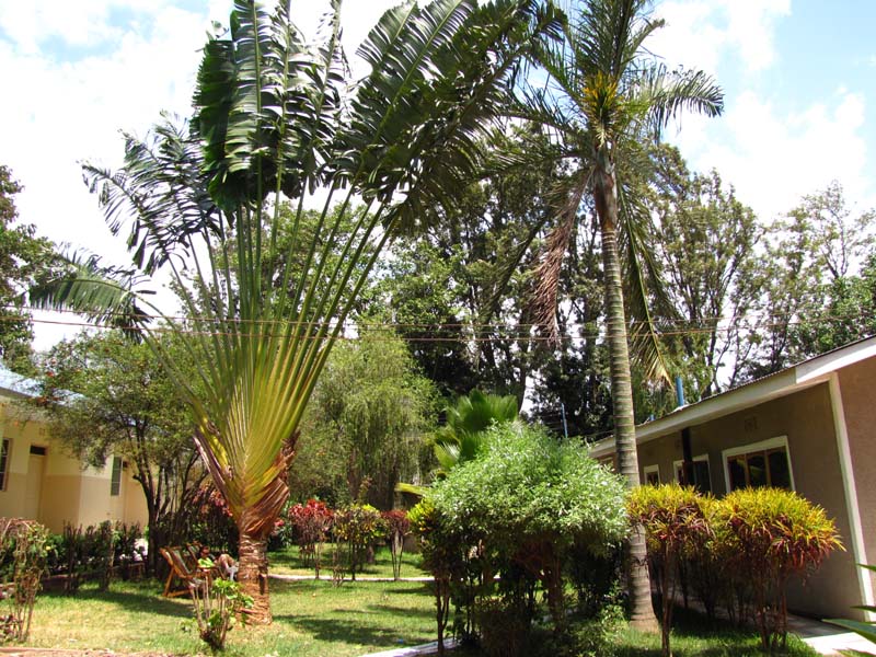 Tansania-0014-Basislager