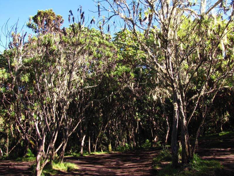 Tansania-0071-Beginn