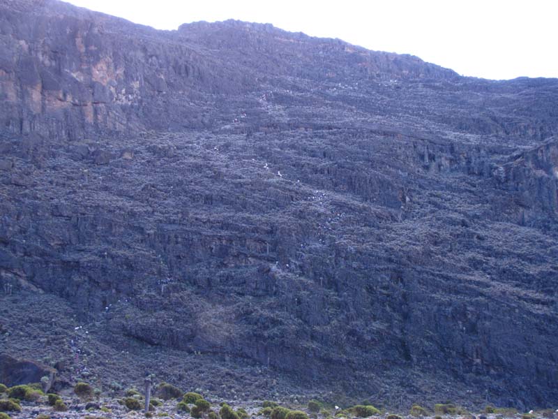 Tansania-0156-Barranco