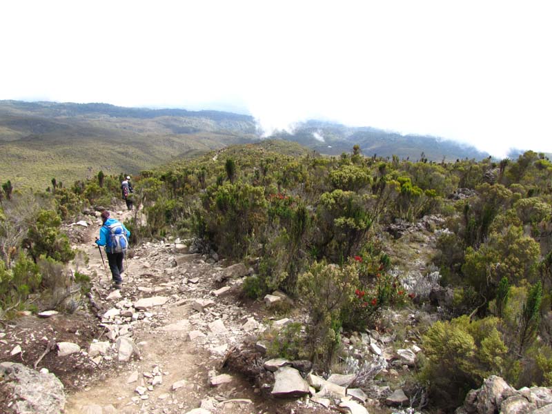 Tansania-0308-Wieder