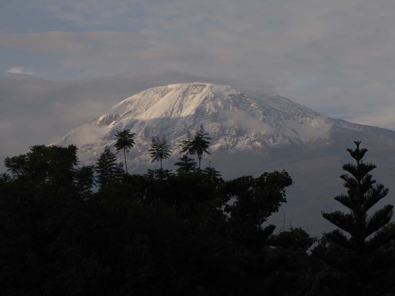 Tansania-0468-Verschneiter