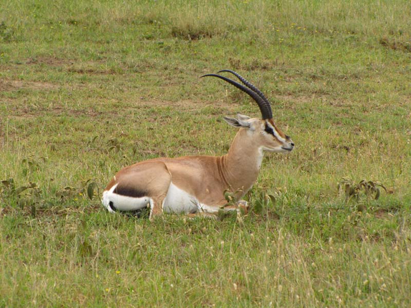 Tansania-0573-Grants