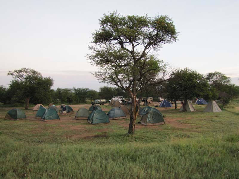 Tansania-0596-Seronera