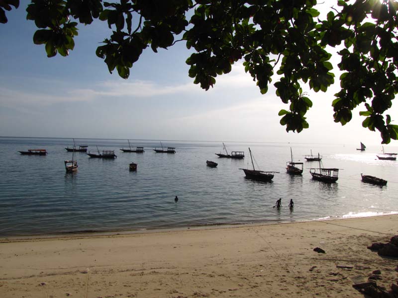 Tansania-0852-Sansibar