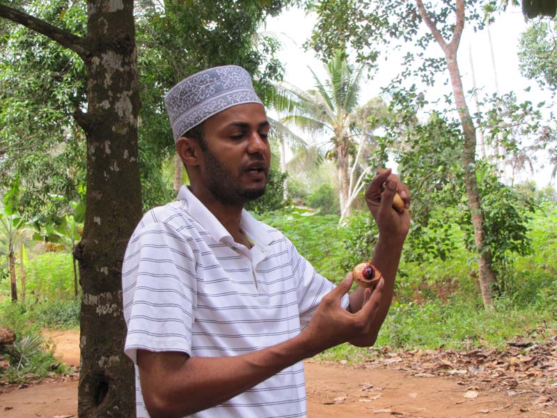 Tansania-0870-Spicetour