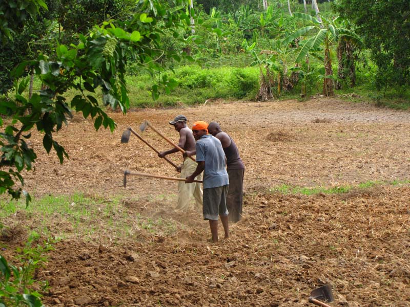 Tansania-0896-Sansibar-Men