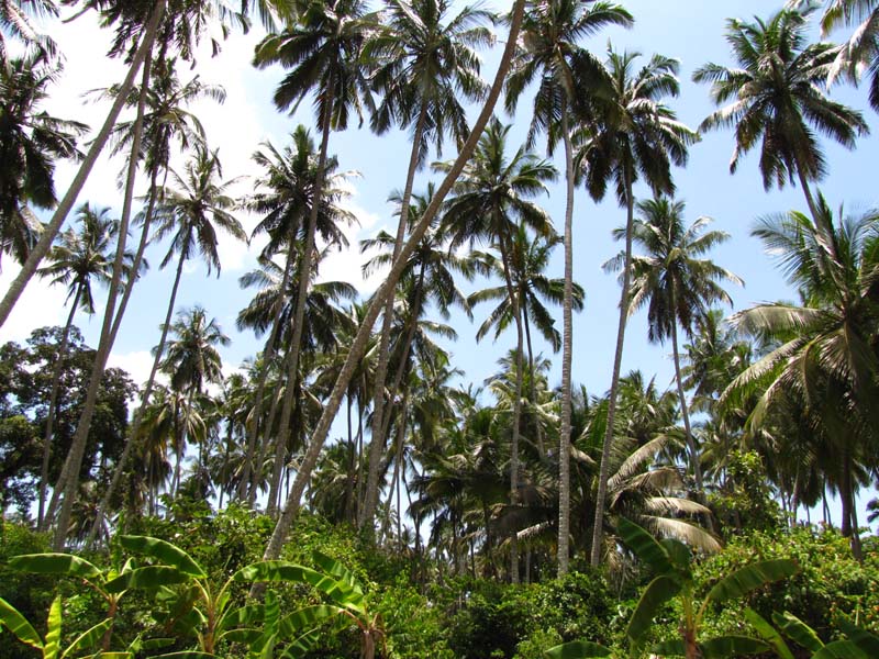 Tansania-0914-Sansibar