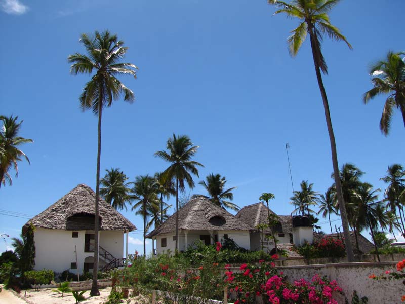 Tansania-0947-Ostkueste