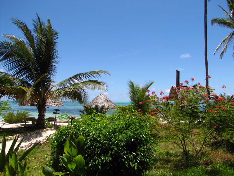 Tansania-0950-Zimmerblick