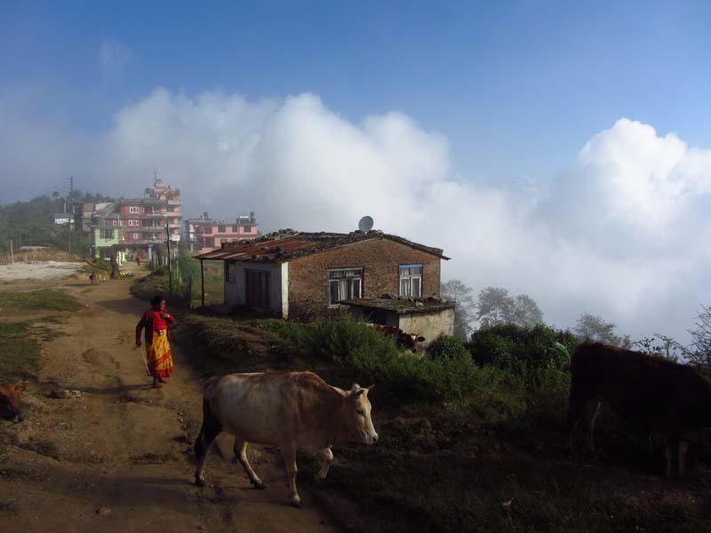 Tibet-Nepal-01134-Helambu-Trek-Weiter